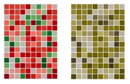 color charts showing red and green samples in both normal vision and colorblind vision illustrating that the colors can appear the same tone depending on vision.